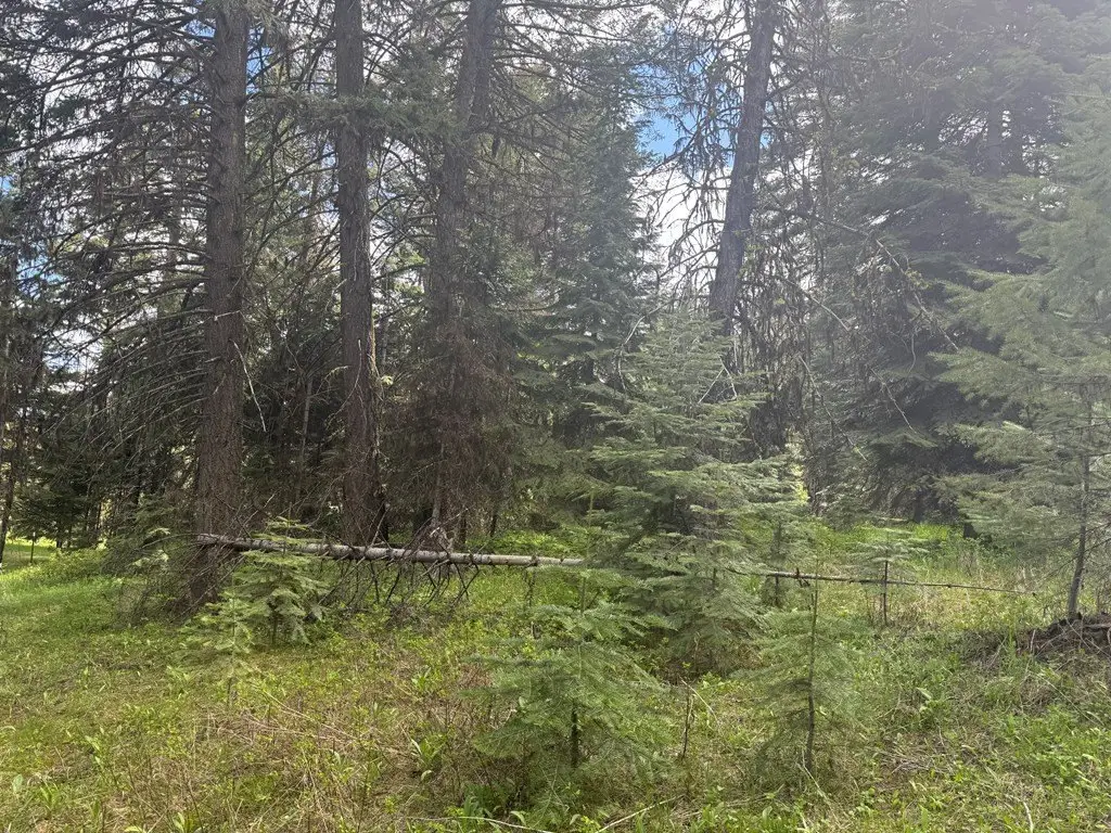 Picture 28