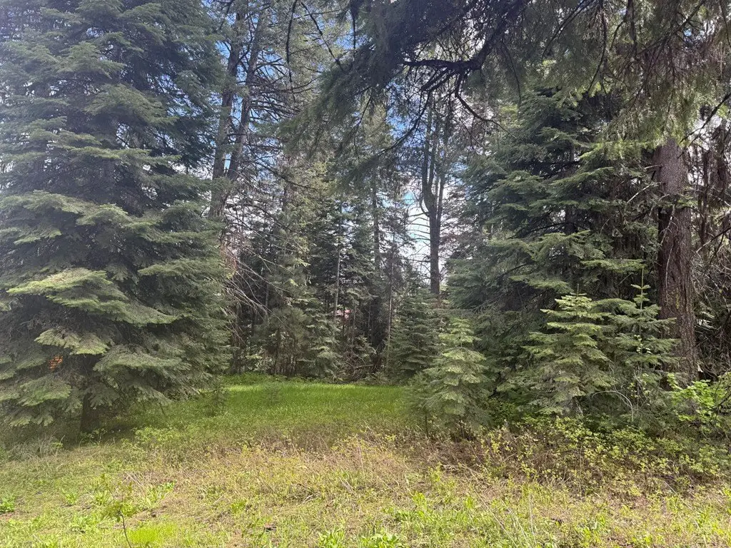 Picture 29