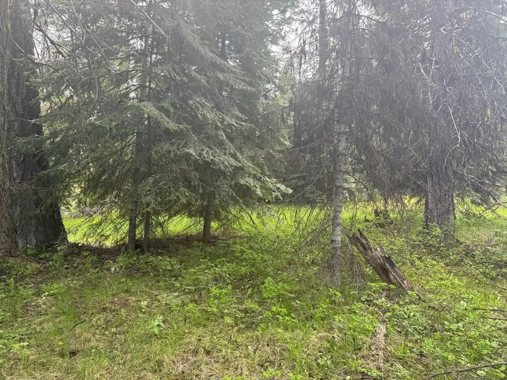 Picture 22