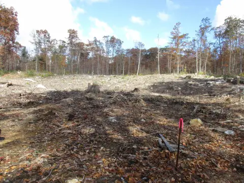 Cleared Land Ready for Building