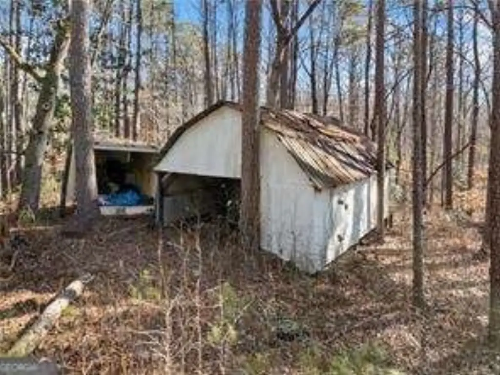 Picture 5