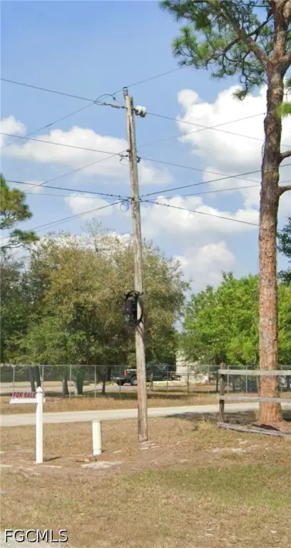 Picture 5