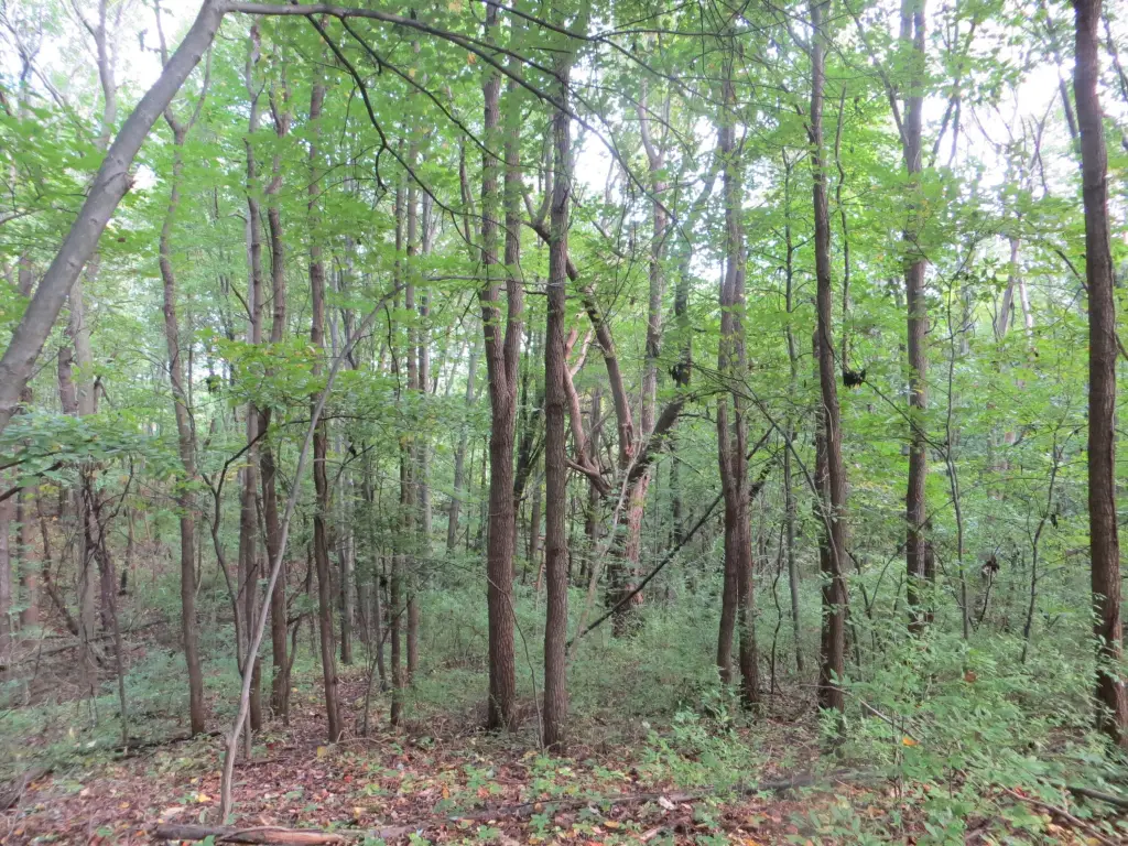 Picture 6