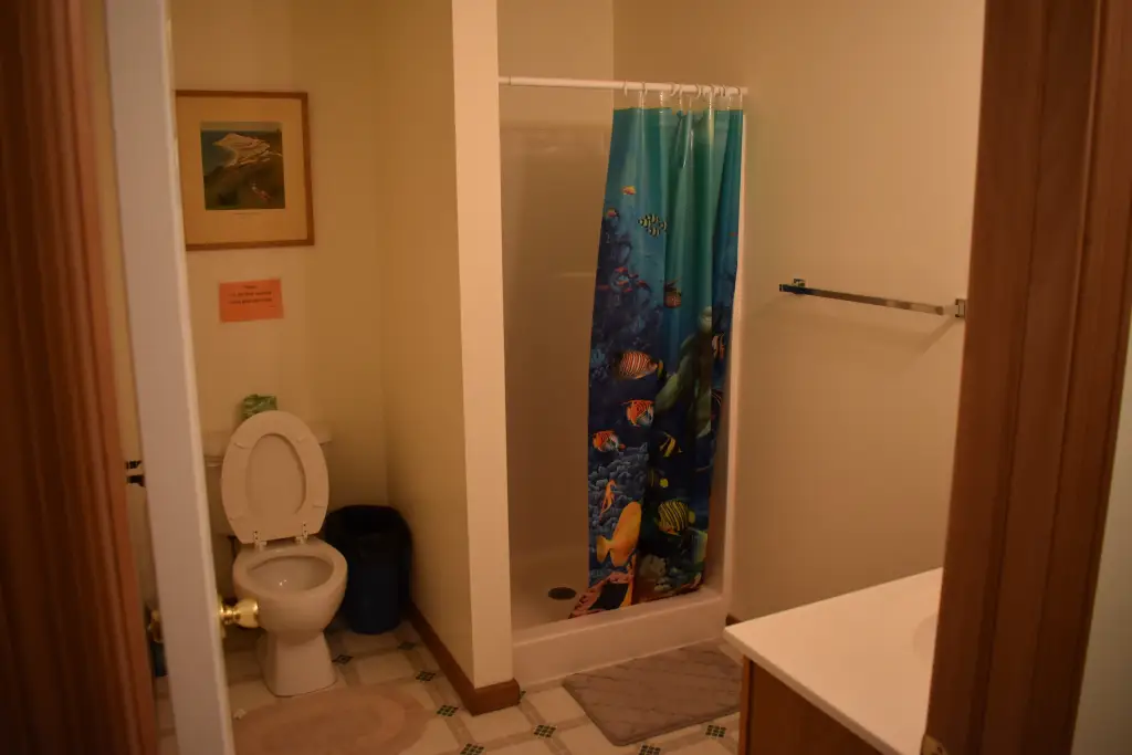 Picture 12