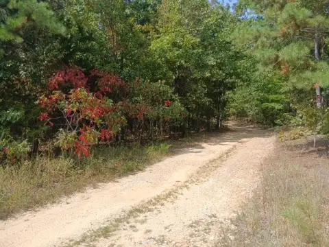 Secluded Land in Shannon County