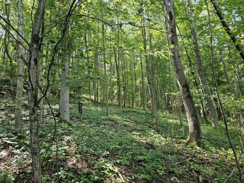 Picture 16