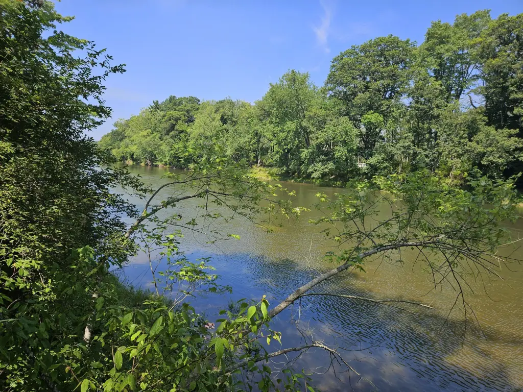 Picture 17