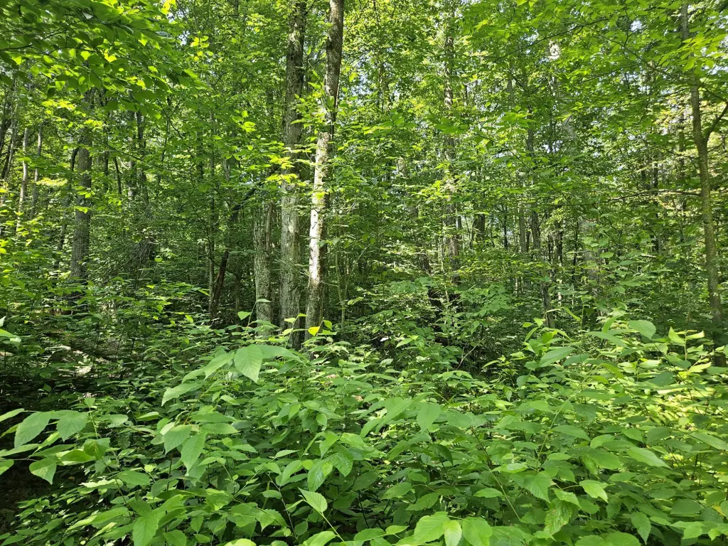 Picture 14
