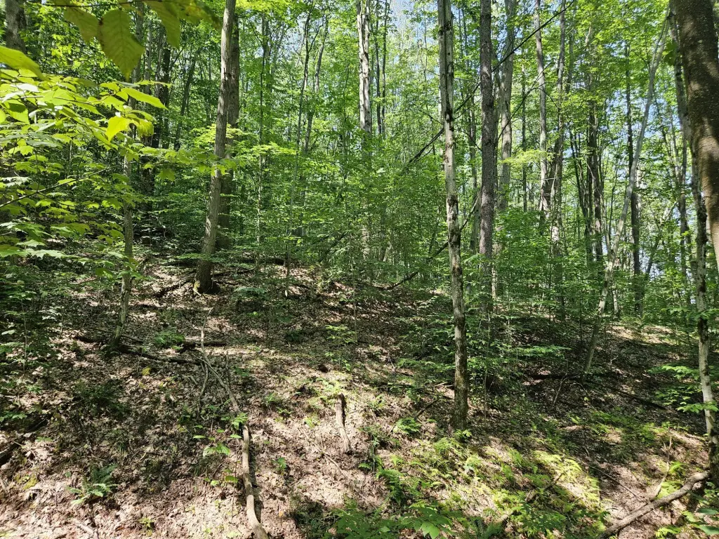 Picture 15