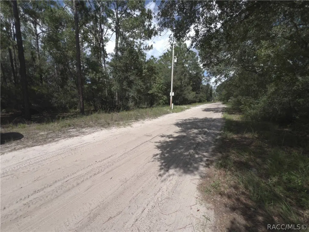 Picture 18