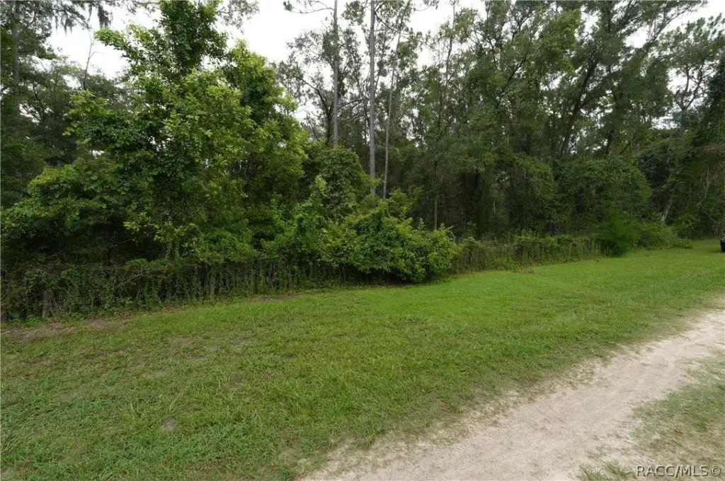 Picture 8