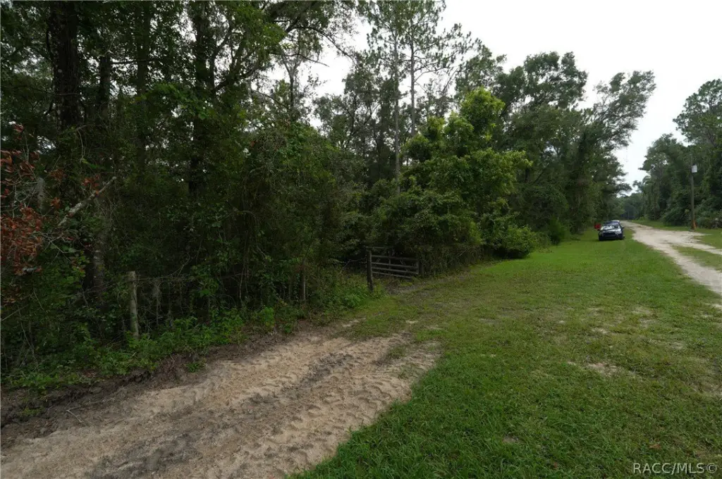 Picture 7