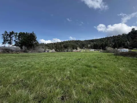 Versatile Land in Crescent City