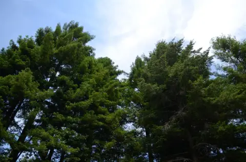 Residential Lot Near Golf Course