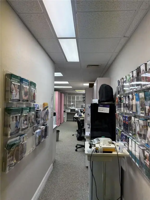 Picture 8