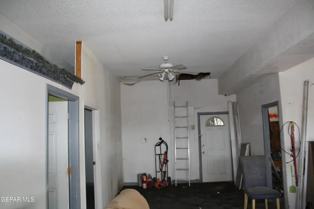 Picture 12