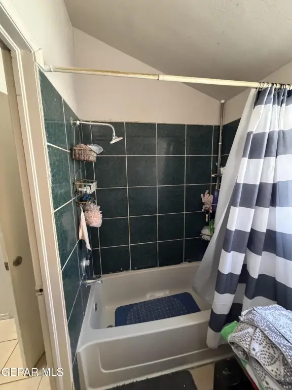 Picture 23