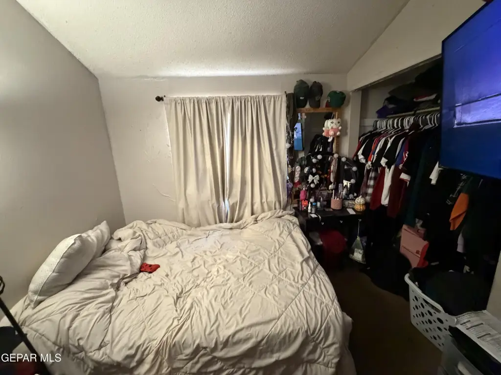Picture 20