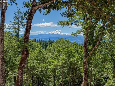 White Salmon Land with Views