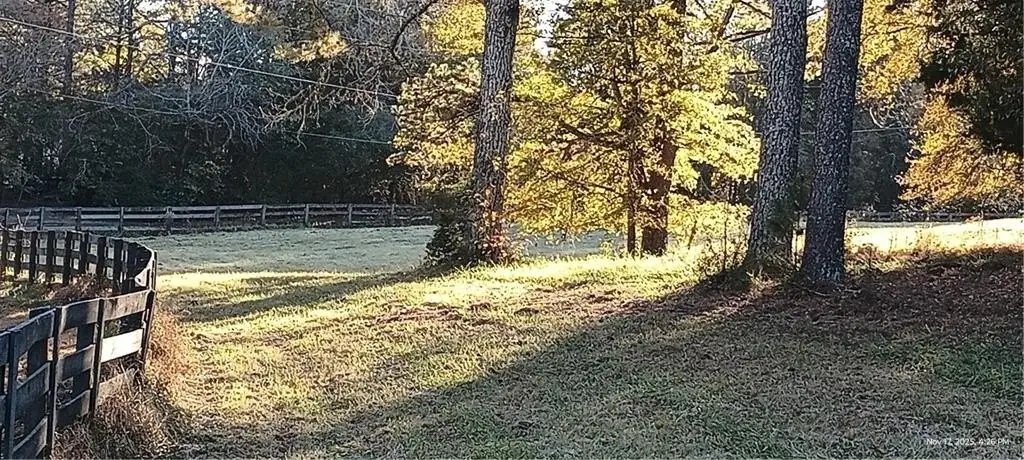 Picture 3