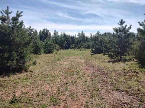 58 Acres Hunting Land, Champion