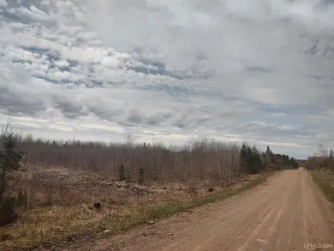 80 Acres of Hunting Land