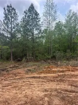 Residential Land in Pollock, LA