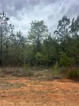Residential Land in Pollock, LA