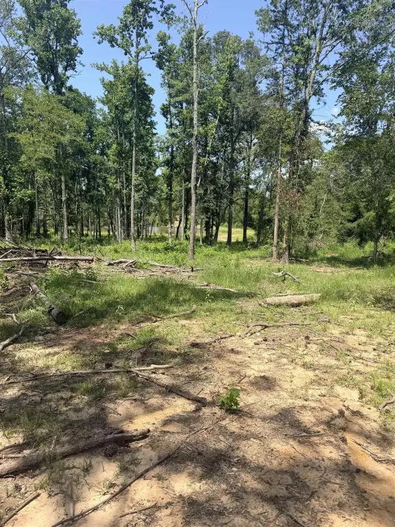 Picture 21