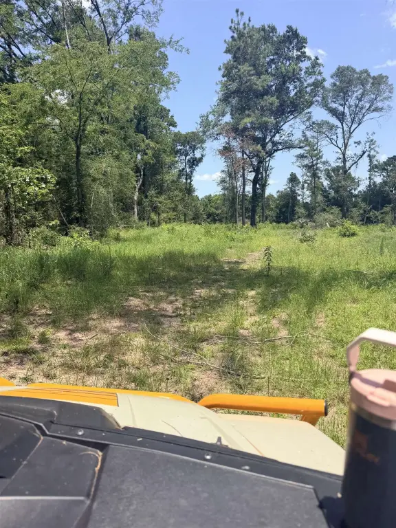 Picture 18