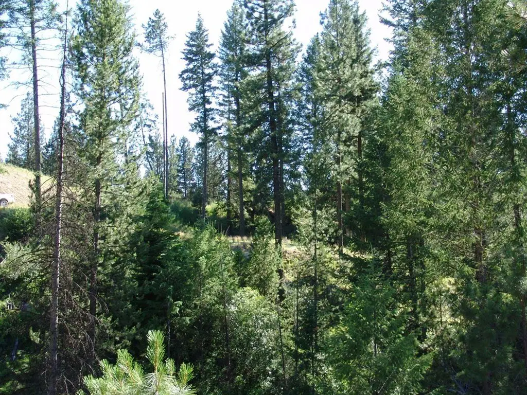 Picture 7