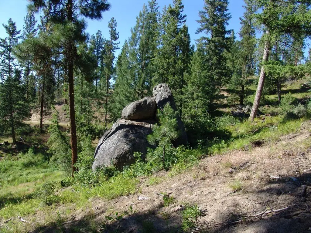 Picture 9