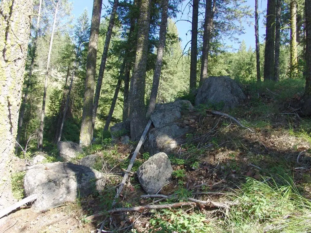 Picture 3