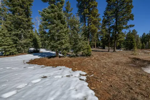 Residential Land in Duck Creek