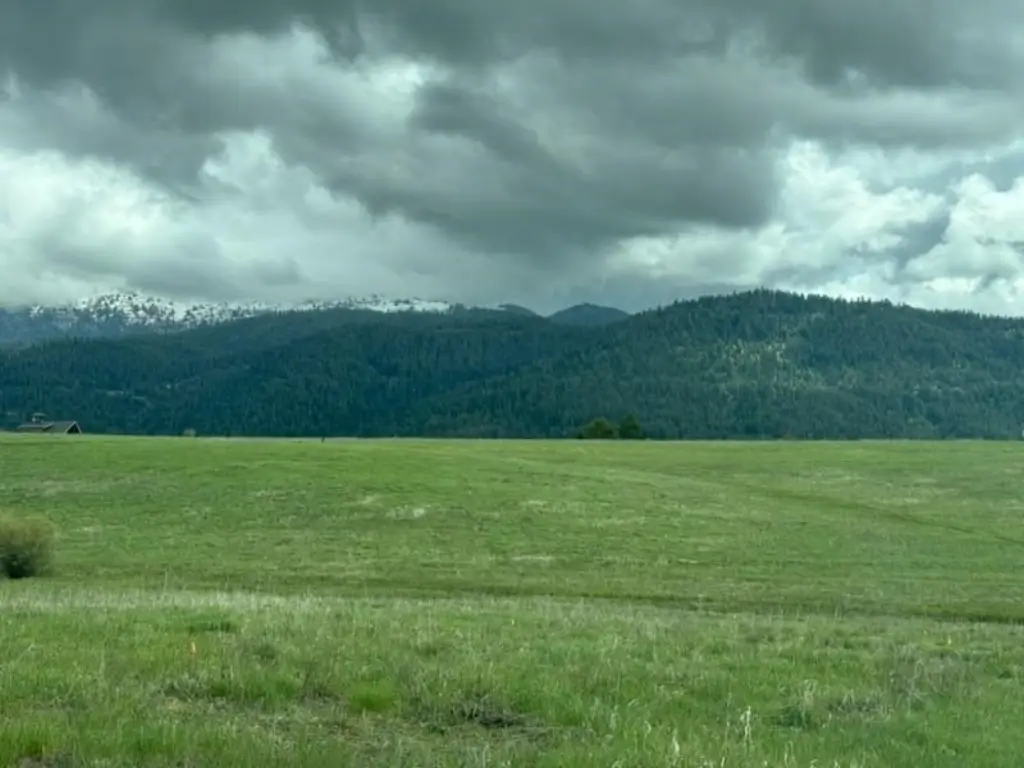 Picture 4