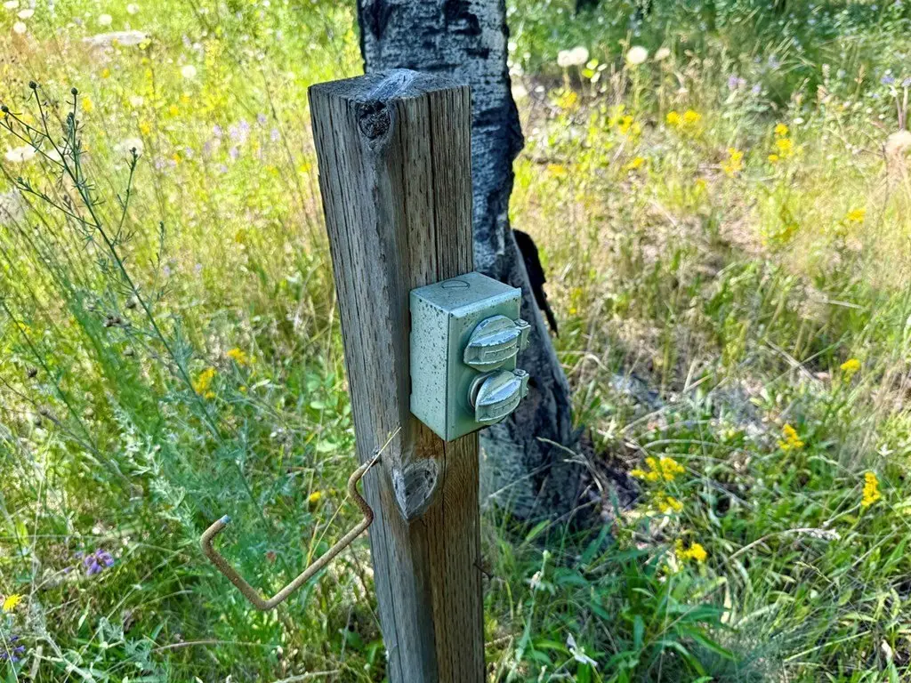 Picture 18