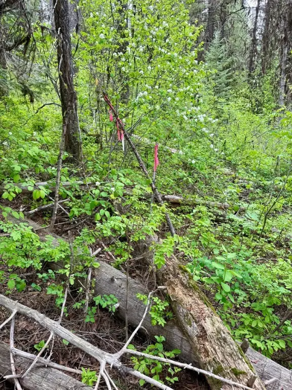 Picture 6