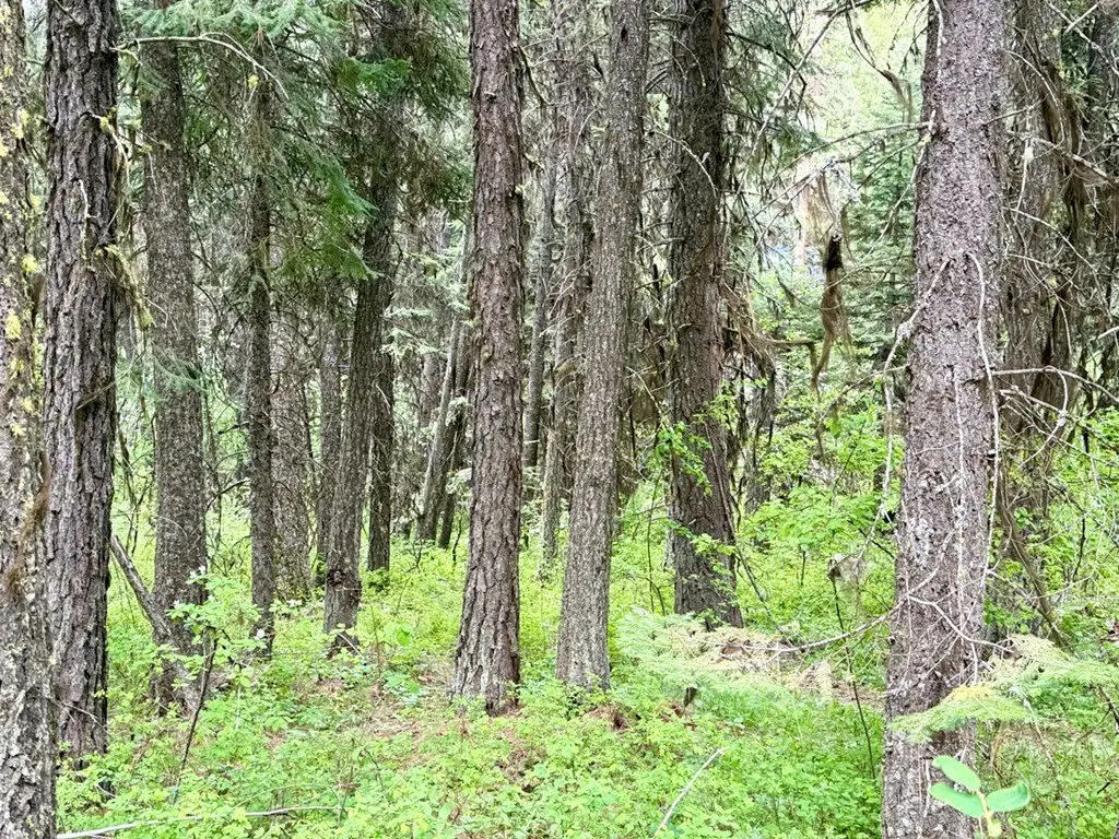 Picture 5