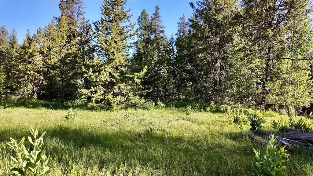 Picture 5