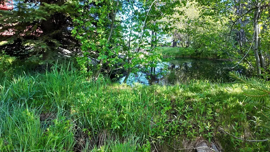 Picture 3