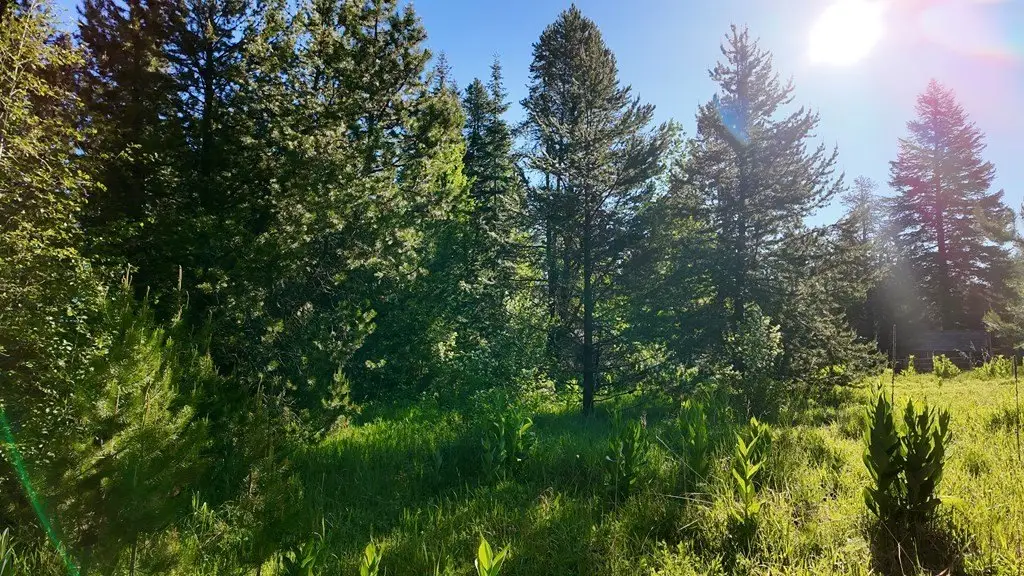 Picture 2