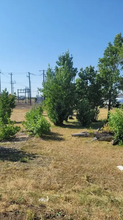 Picture 11