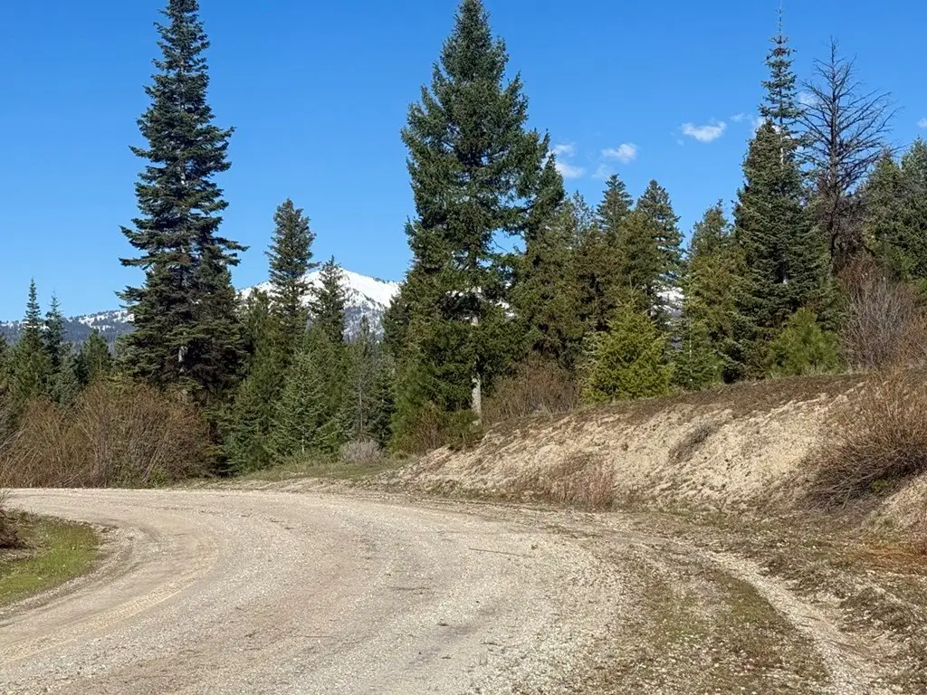 Picture 6