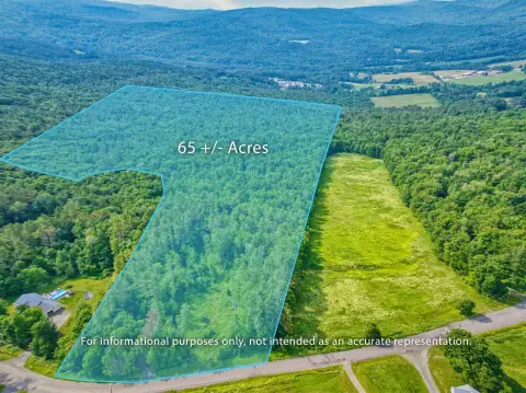 65 Acres of Farmland/Forest