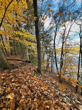 5 Acres Riverfront Land, Springfield