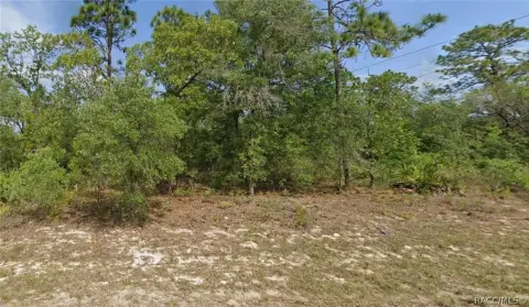 Residential Homesite Land