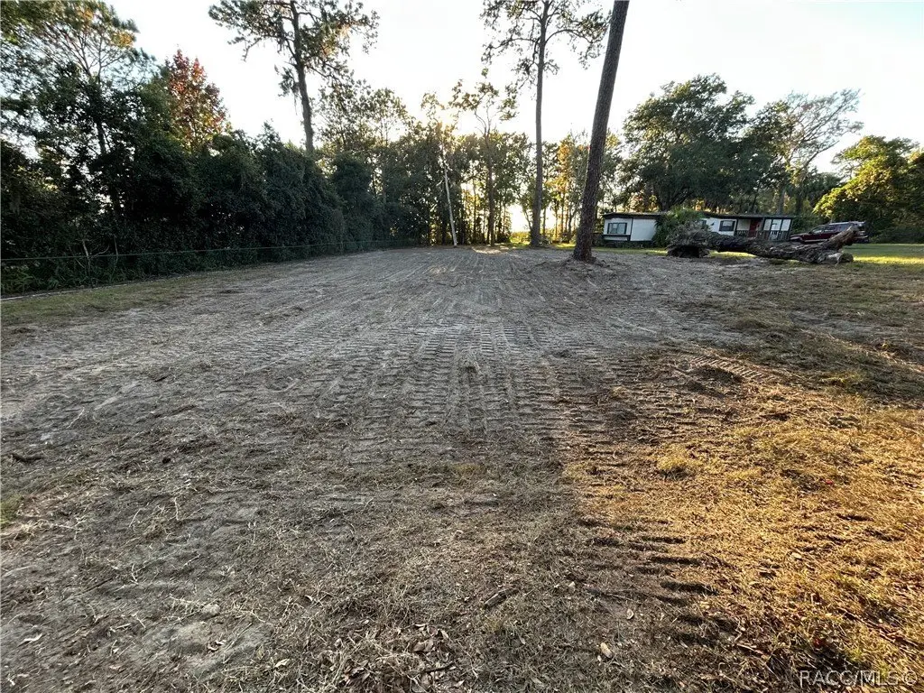 Picture 9