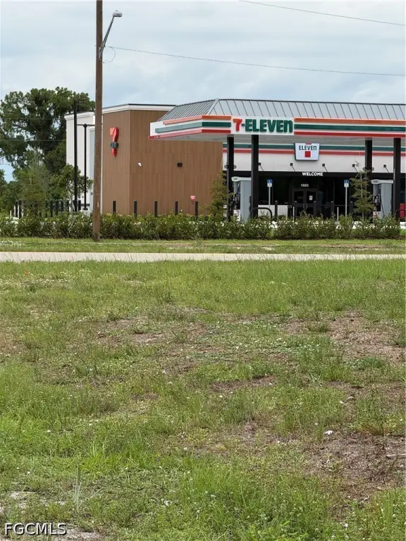Picture 3