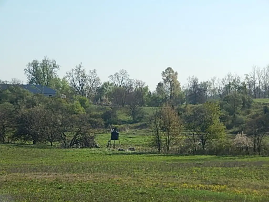 Picture 13