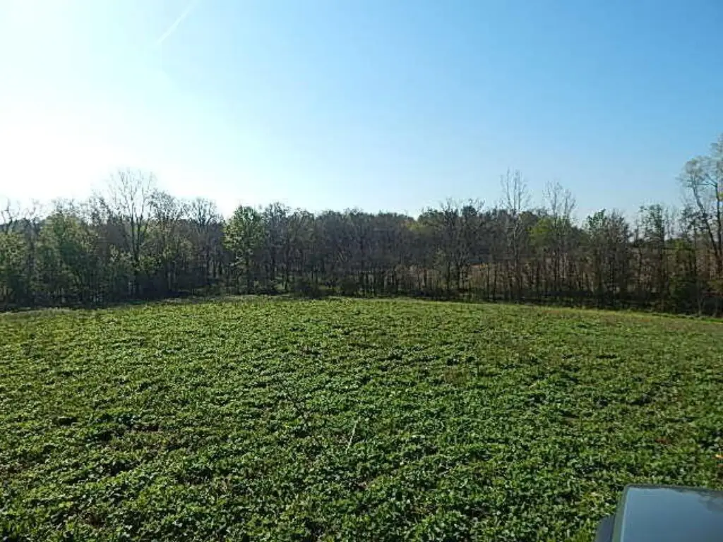 Picture 14